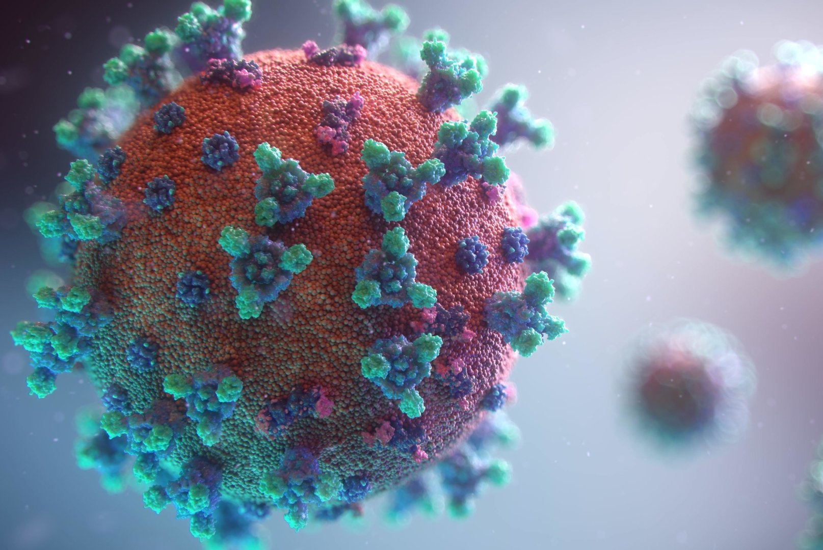 Trois virus circulent beaucoup actuellement. Parmi lesquels, la grippe, qui semble faire du zèle.