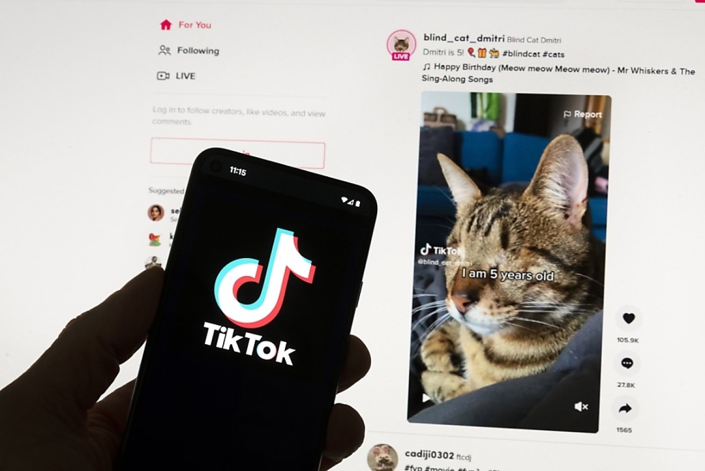 TikTok dispose du "programme de récompenses", qui permet aux utilisateurs de gagner des points en effectuant certaines "tâches" sur le réseau social, telles que regarder des vidéos. (archives) KEYSTONE