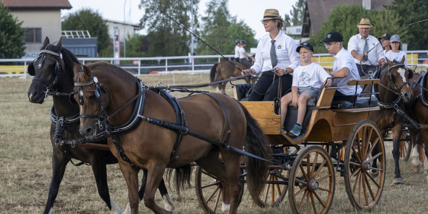Marché-Concours 2026, Lucia Vuillaume est la première femme à conduire un attelage lors du quadrille campagnard. Photo Olivier Noaillon