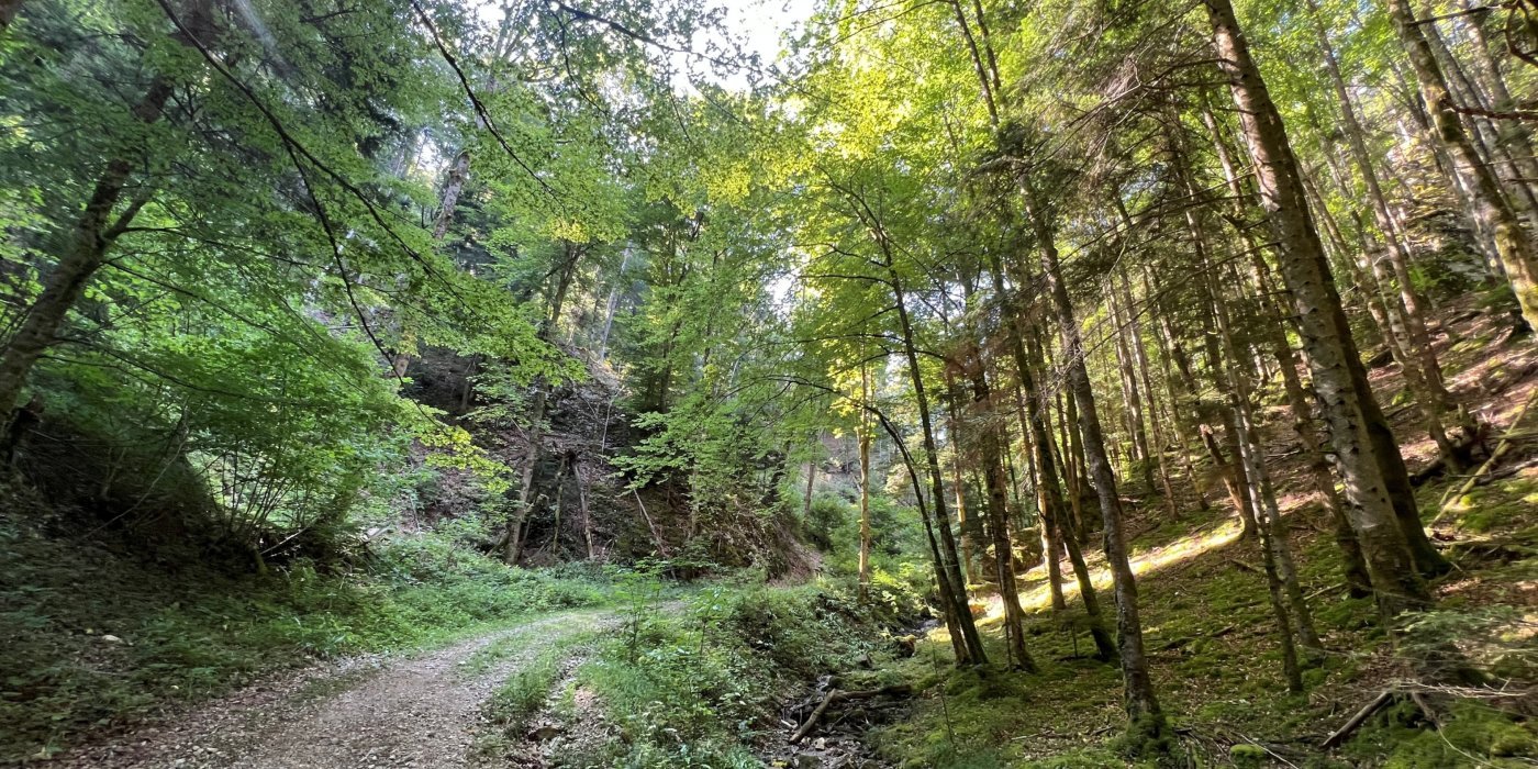 La balade de Raffi, entre Courtételle et Moutier par les Fouchies et la Combe.