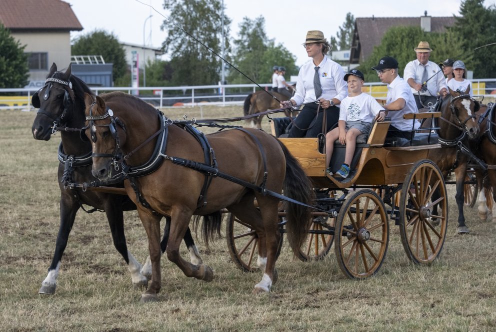 Marché-Concours 2026, Lucia Vuillaume est la première femme à conduire un attelage lors du quadrille campagnard. Photo Olivier Noaillon