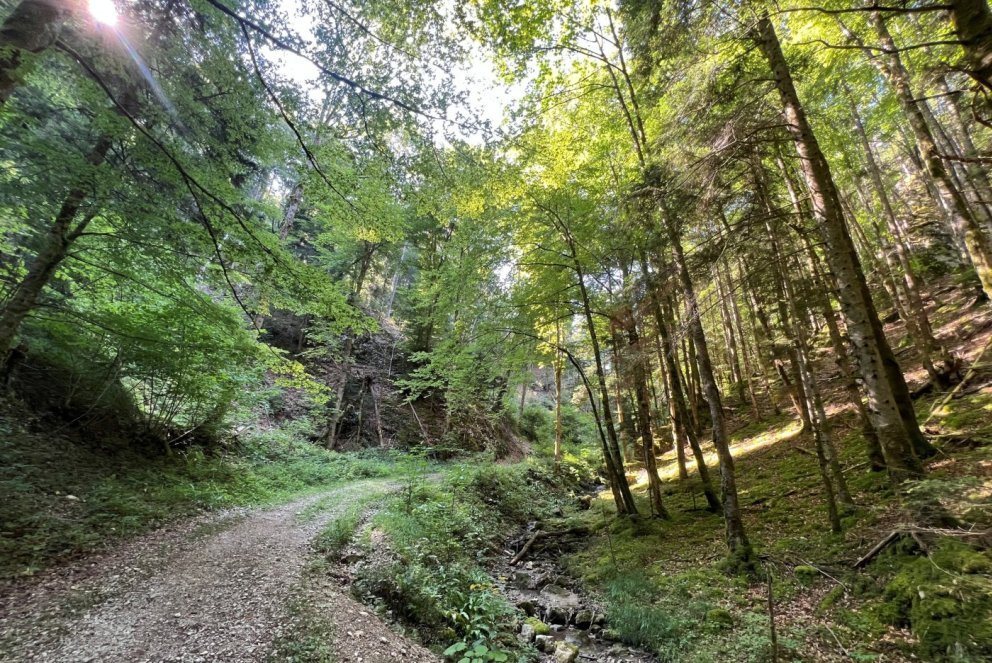 La balade de Raffi, entre Courtételle et Moutier par les Fouchies et la Combe.