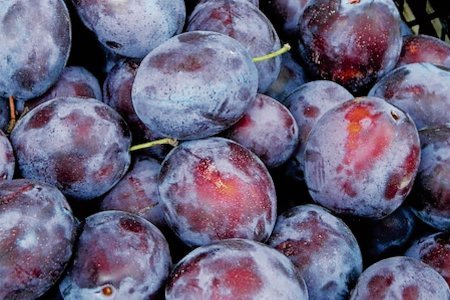 LQJ_260619_260619-BC prunes 1